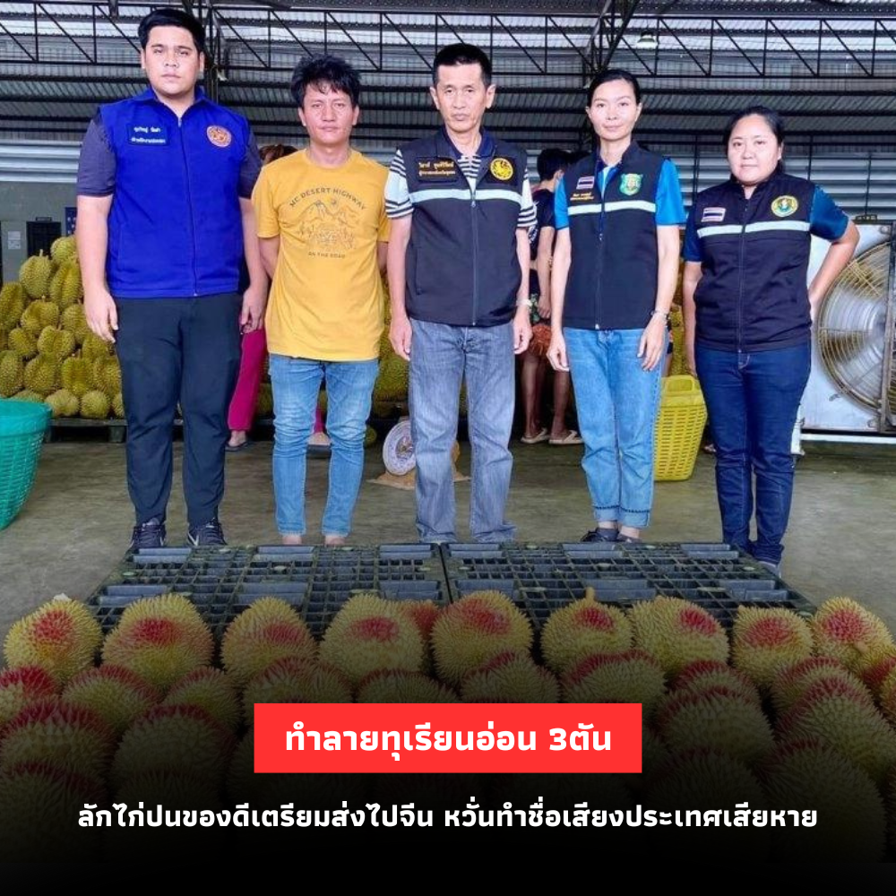 ทำลายทุเรียนอ่อนกว่า 3 ตัน ลักไก่ปนของดี เตรียมส่งไปจีน หวั่นเสียชื่อเสียงประเทศ